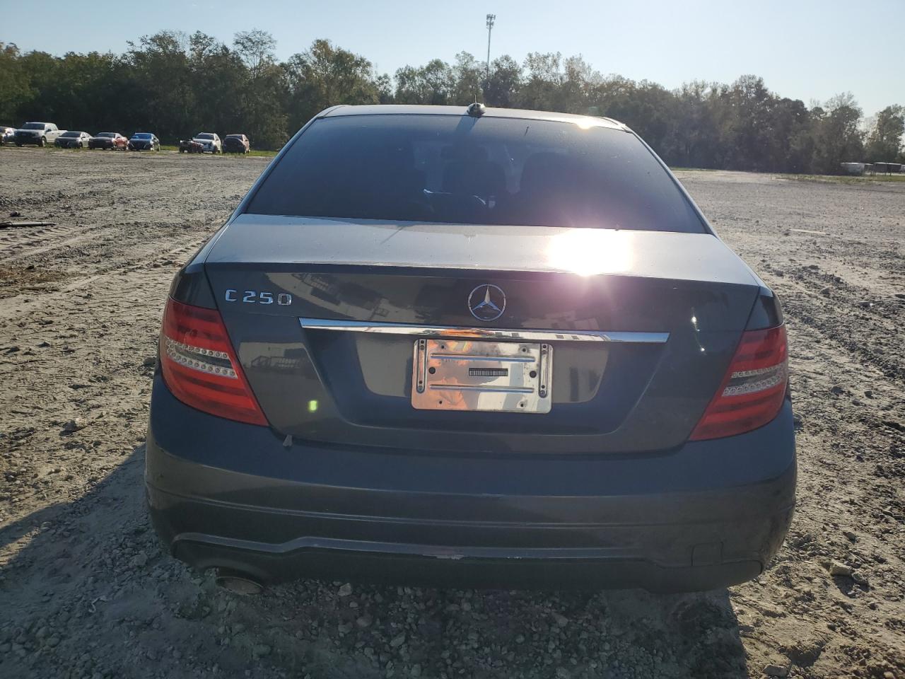 2013 Mercedes-Benz C 250 VIN: WDDGF4HB7DR266407 Lot: 76017924