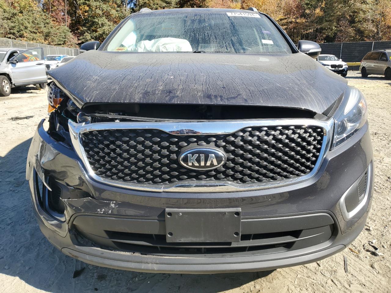 2017 Kia Sorento Lx VIN: 5XYPGDA34HG327372 Lot: 77541594