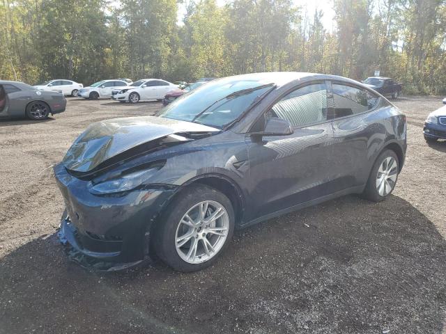  TESLA MODEL Y 2024 Серый