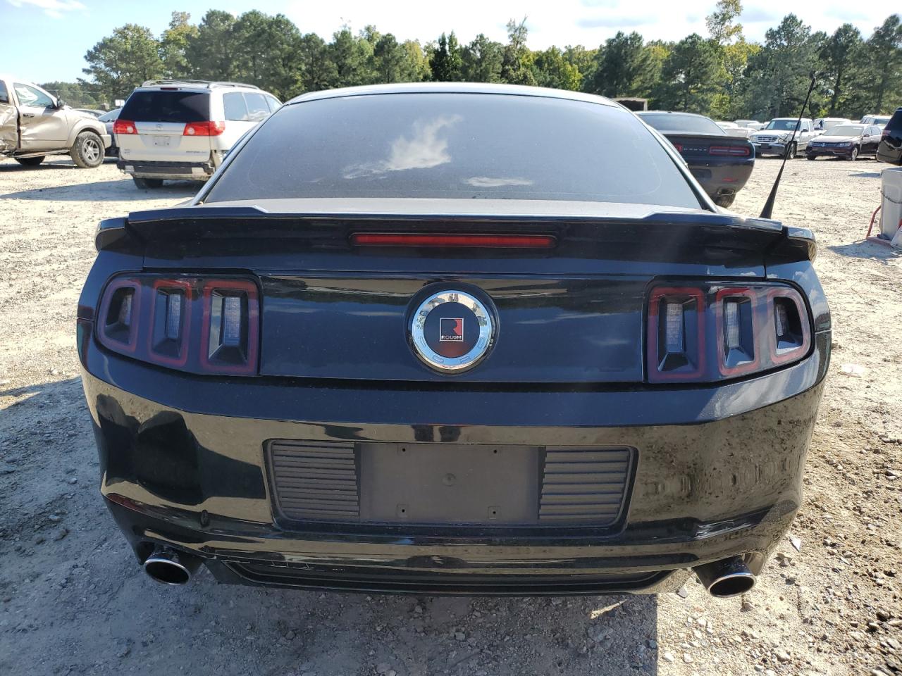 2014 Ford Mustang VIN: 1ZVBP8AM0E5229807 Lot: 74725734