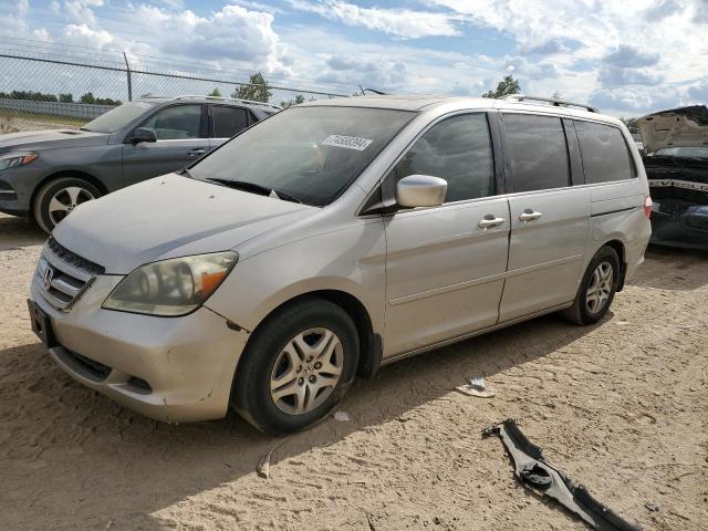 2005 Honda Odyssey Exl