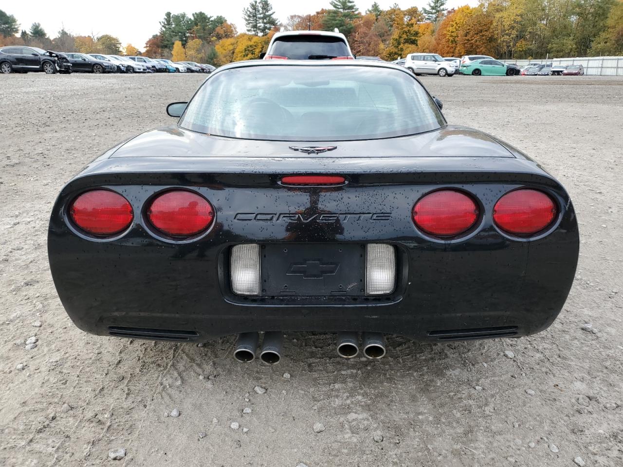 2004 Chevrolet Corvette VIN: 1G1YY22G545108200 Lot: 77745664