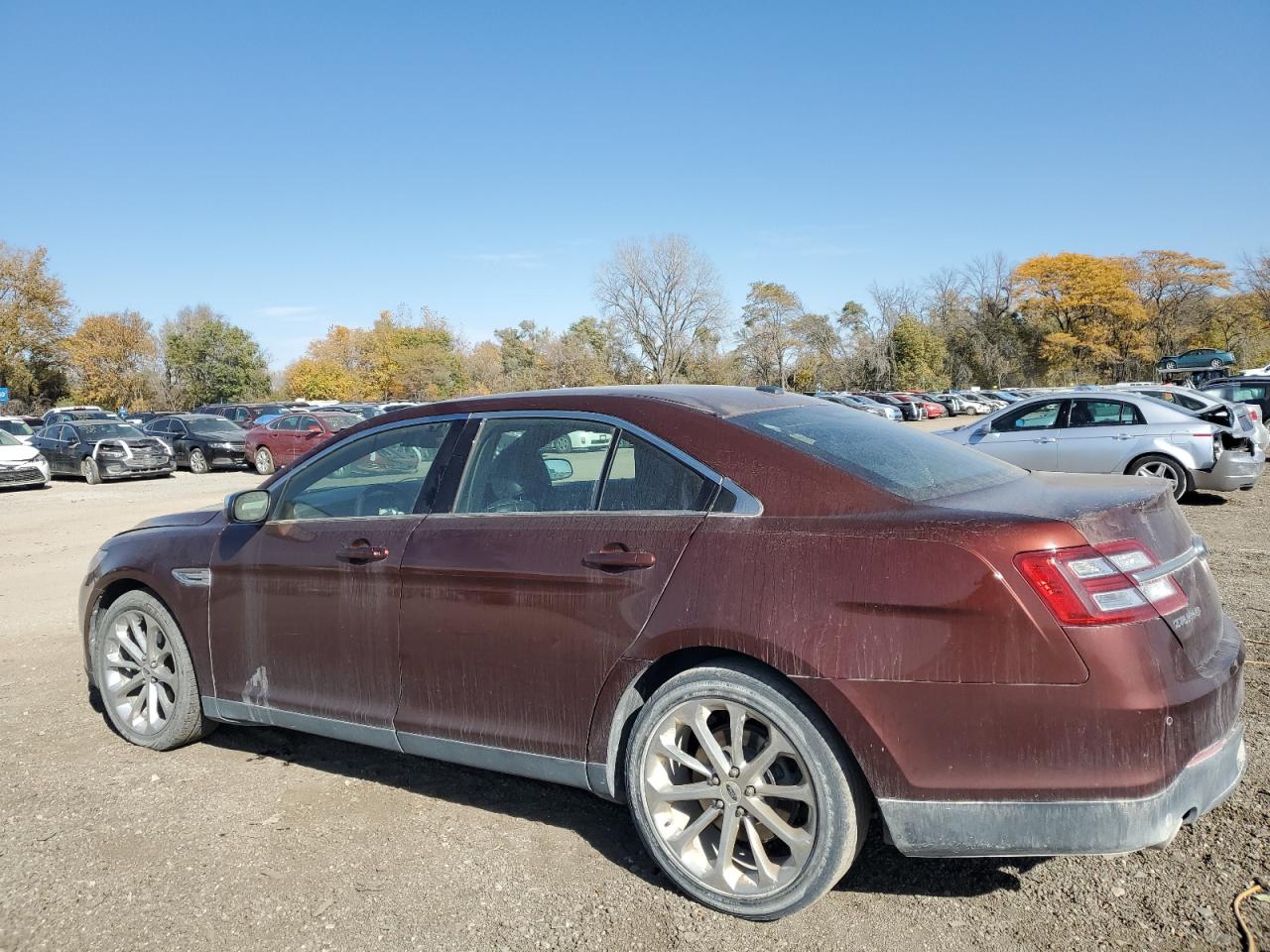 VIN 1FAHP2F89FG127584 2015 FORD TAURUS no.2