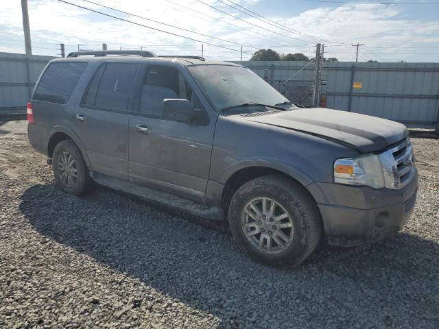 Parquets FORD EXPEDITION 2014 Gray