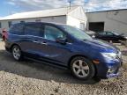 2020 Honda Odyssey Exl for Sale in Hillsborough, NJ - Front End