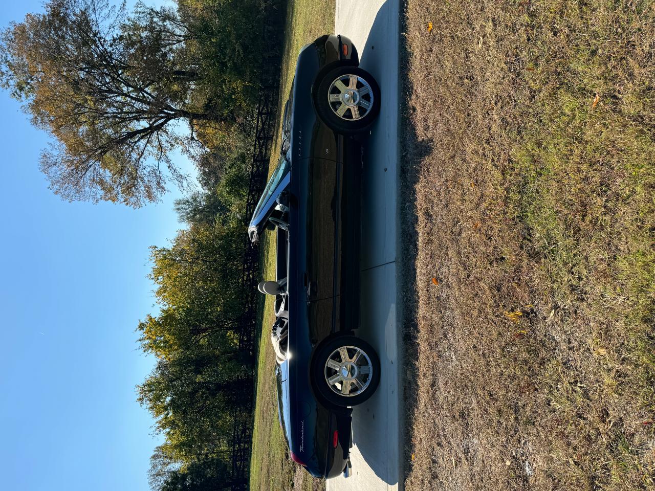 2004 Ford Thunderbird VIN: 1FAHP60A24Y111284 Lot: 78404574