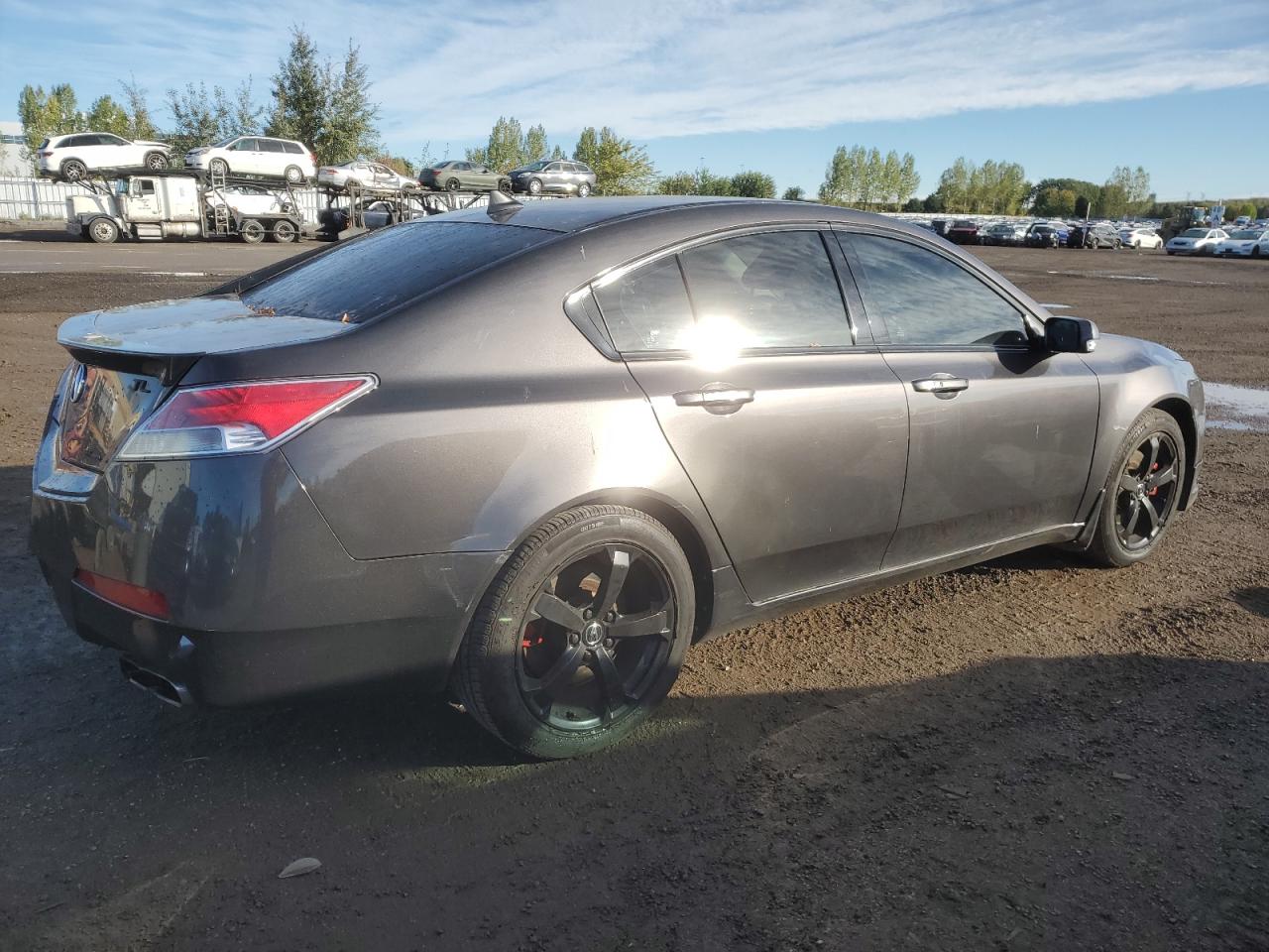 19UUA9F5XAA801568 2010 Acura Tl