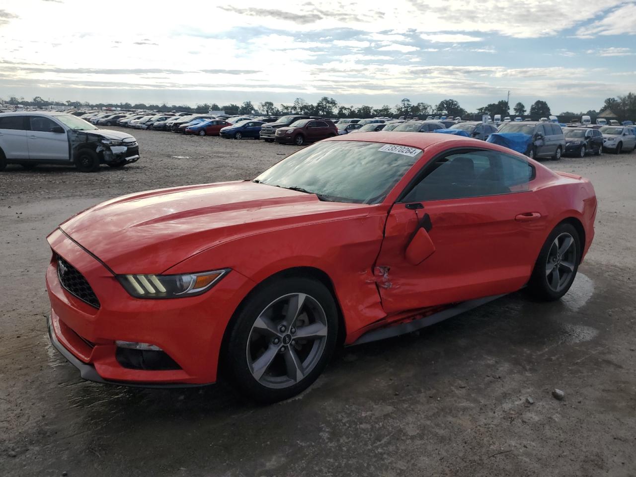 2017 Ford Mustang VIN: 1FA6P8TH6H5353210 Lot: 73570264