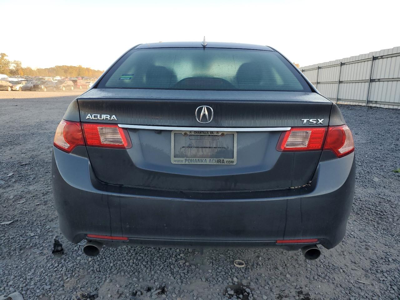 2011 Acura Tsx VIN: JH4CU2E60BC010487 Lot: 77331364