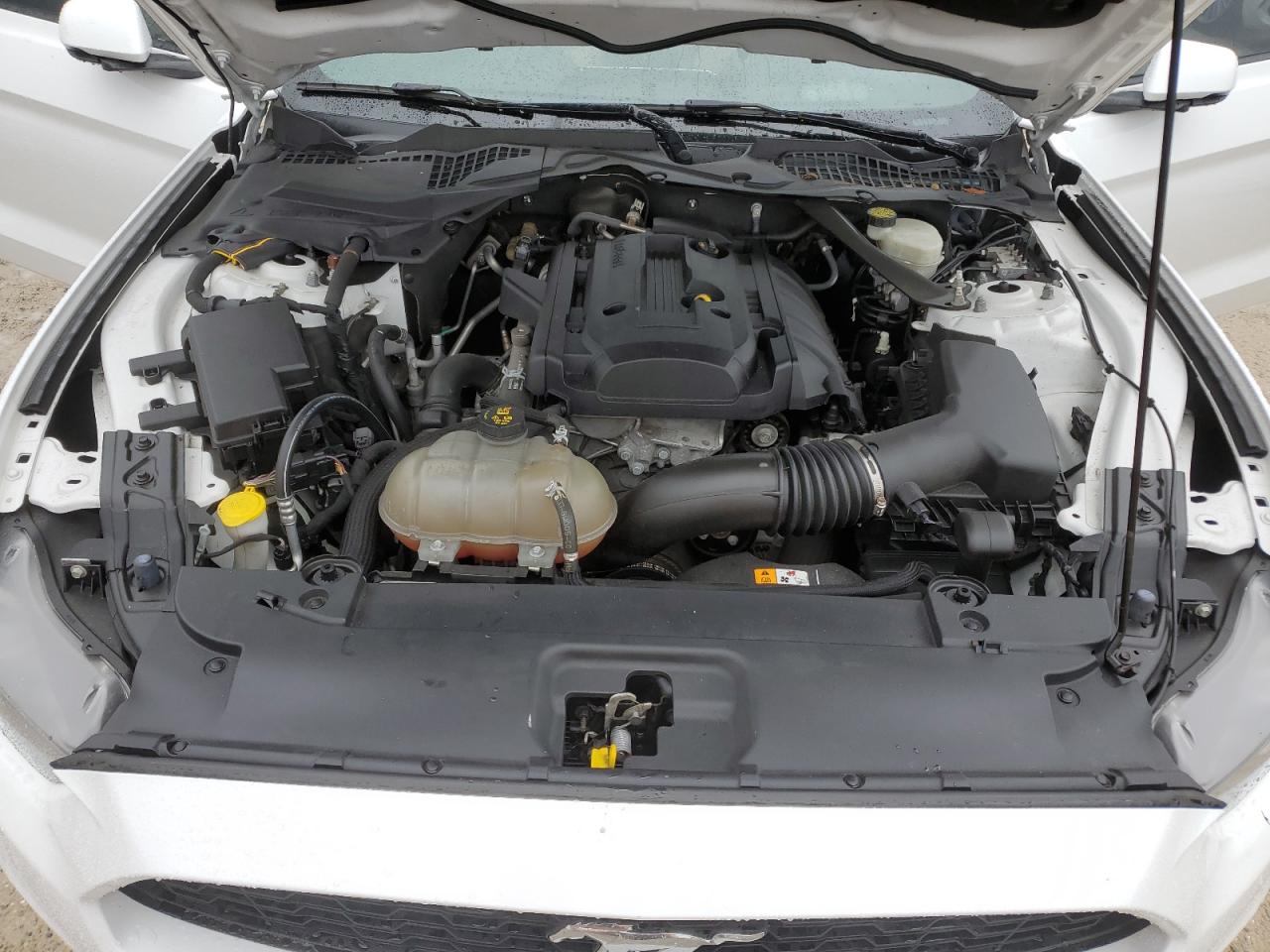 2015 Ford Mustang VIN: 1FATP8UH2F5433778 Lot: 74601274