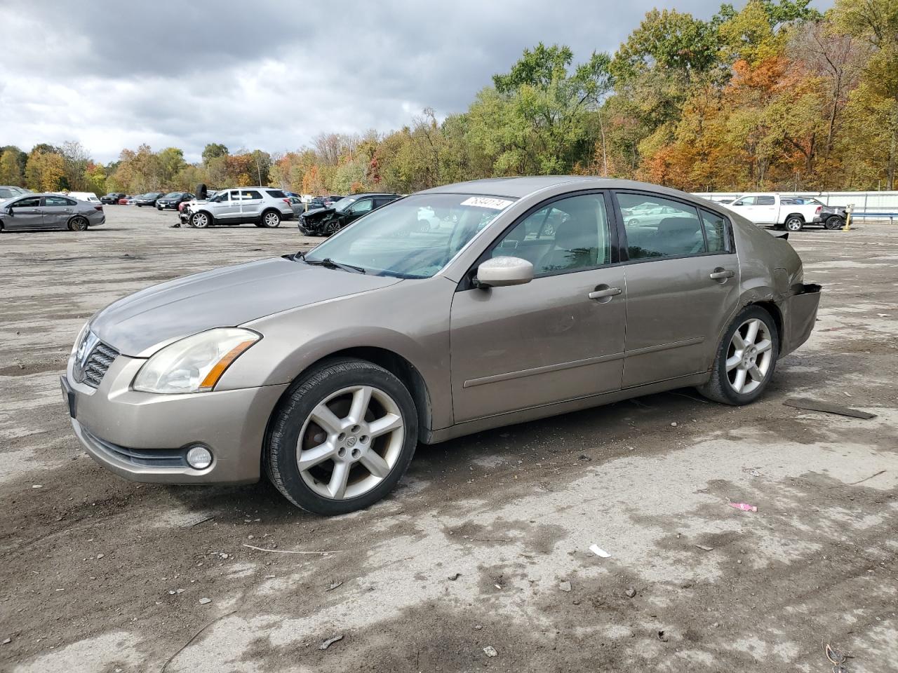 2005 Nissan Maxima - Image 1