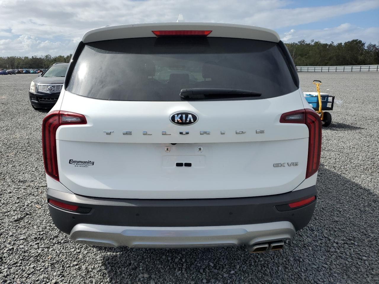 2020 Kia Telluride Ex VIN: 5XYP34HC2LG055530 Lot: 78661724