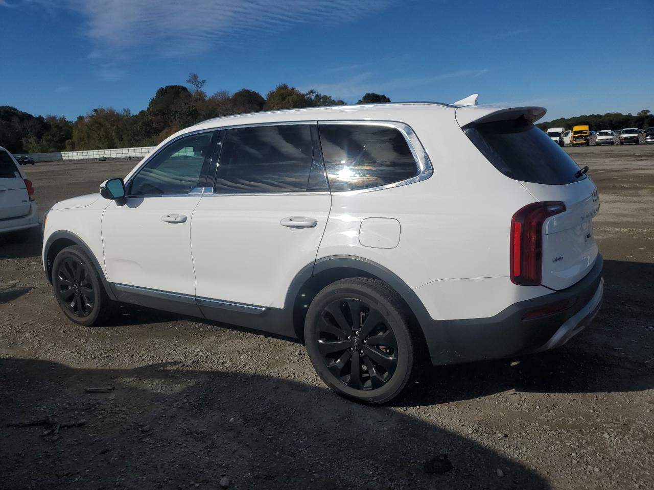 2022 Kia Telluride Ex VIN: 5XYP3DHC4NG310312 Lot: 76263204