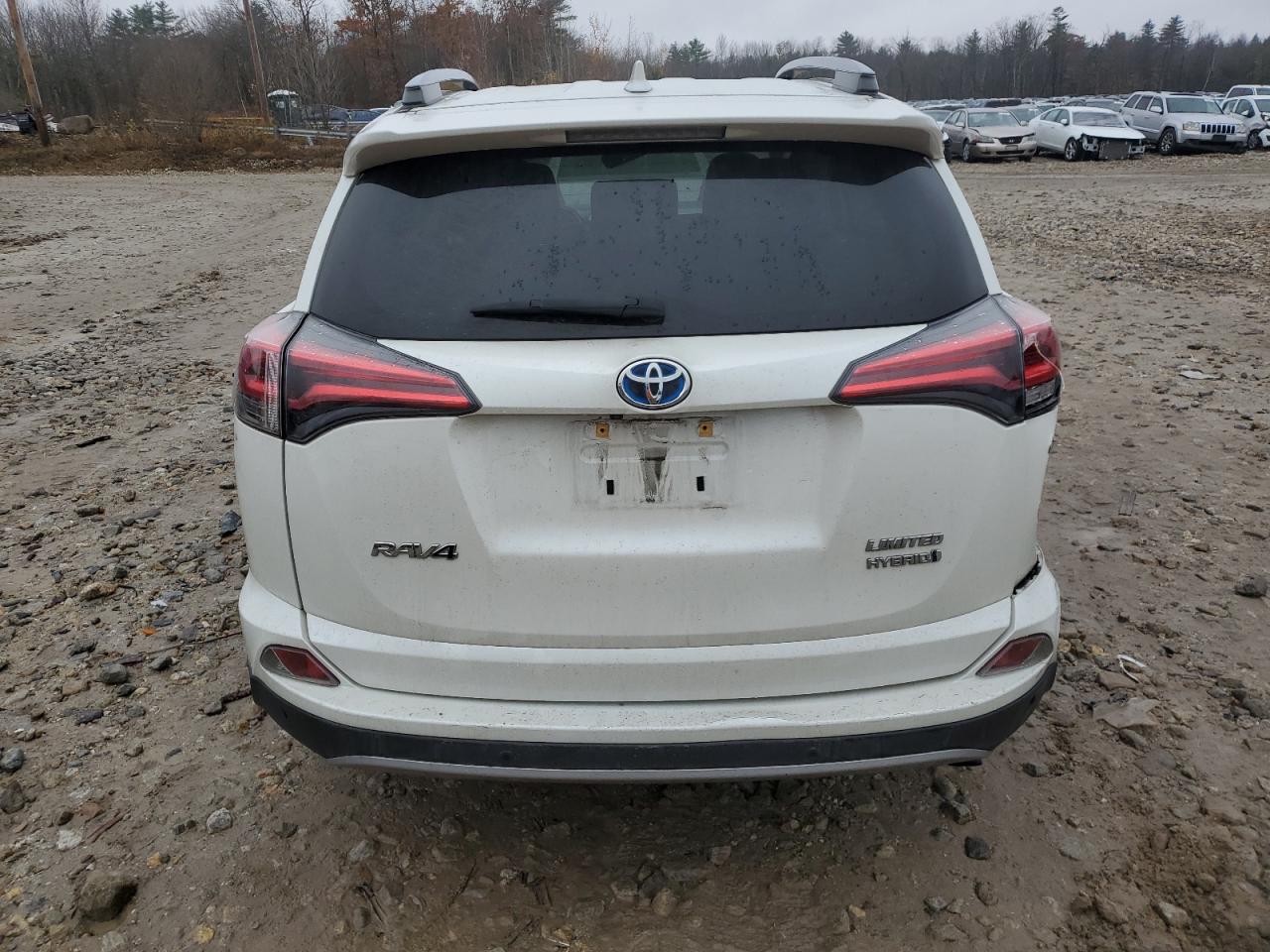 2018 Toyota Rav4 Hv Limited VIN: JTMDJREV9JD203874 Lot: 78689904