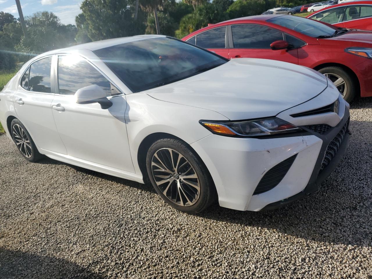 2019 Toyota Camry - Image 4