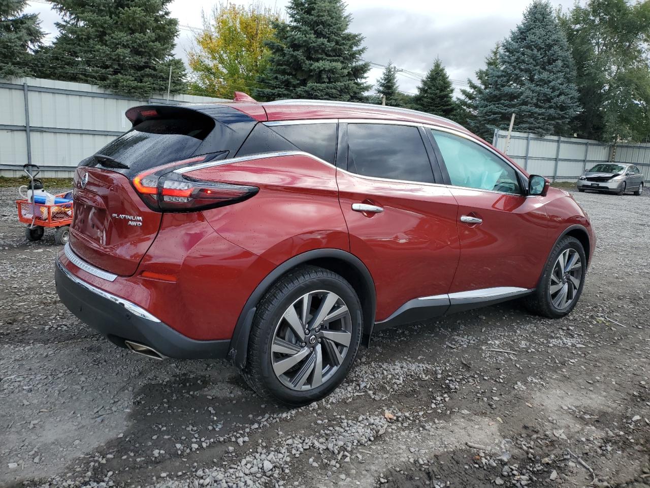 2020 Nissan Murano Platinum VIN: 5N1AZ2DS7LN128059 Lot: 75496484