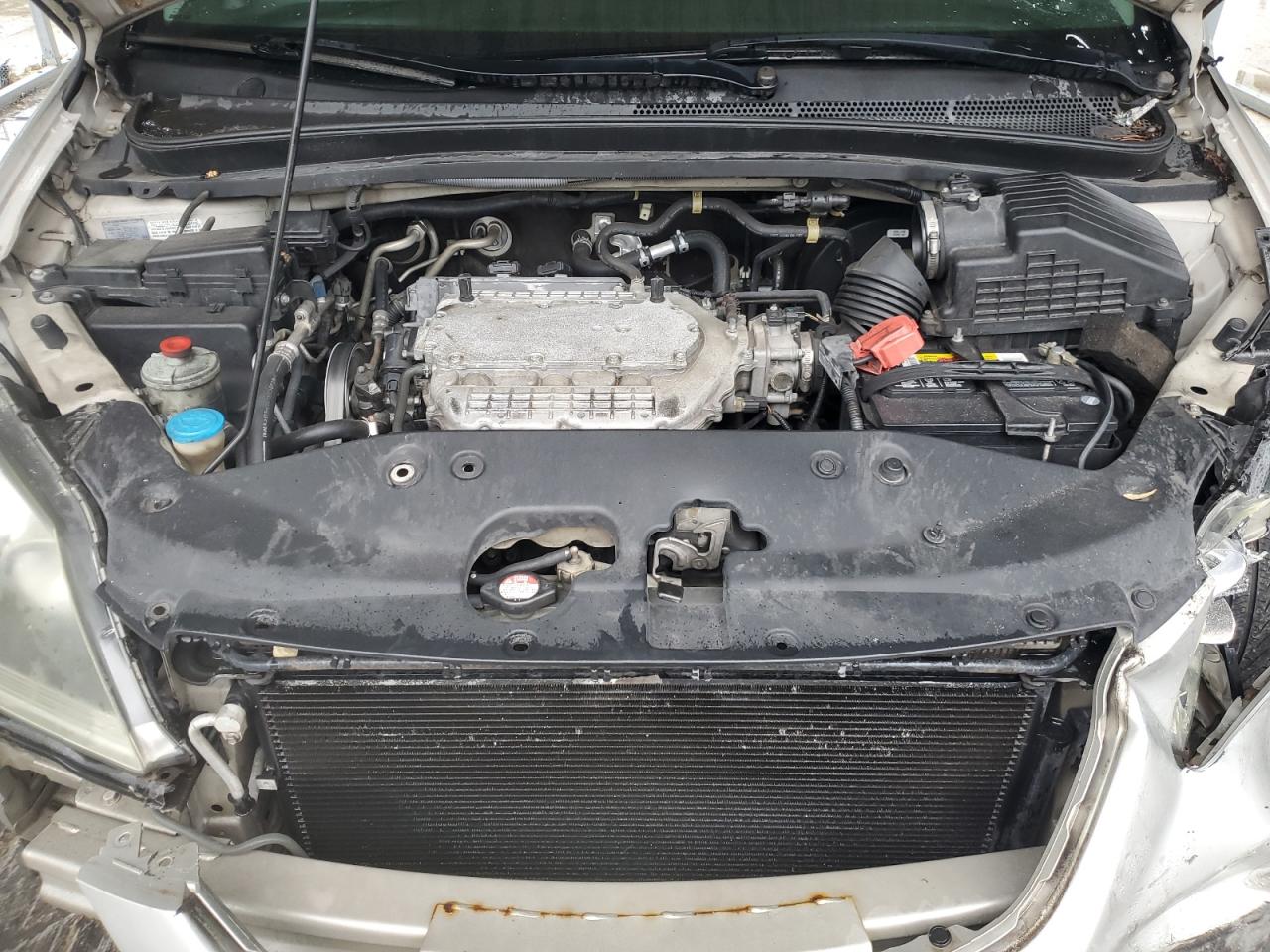 2007 Honda Odyssey Exl VIN: 5FNRL387X7B110406 Lot: 74924394