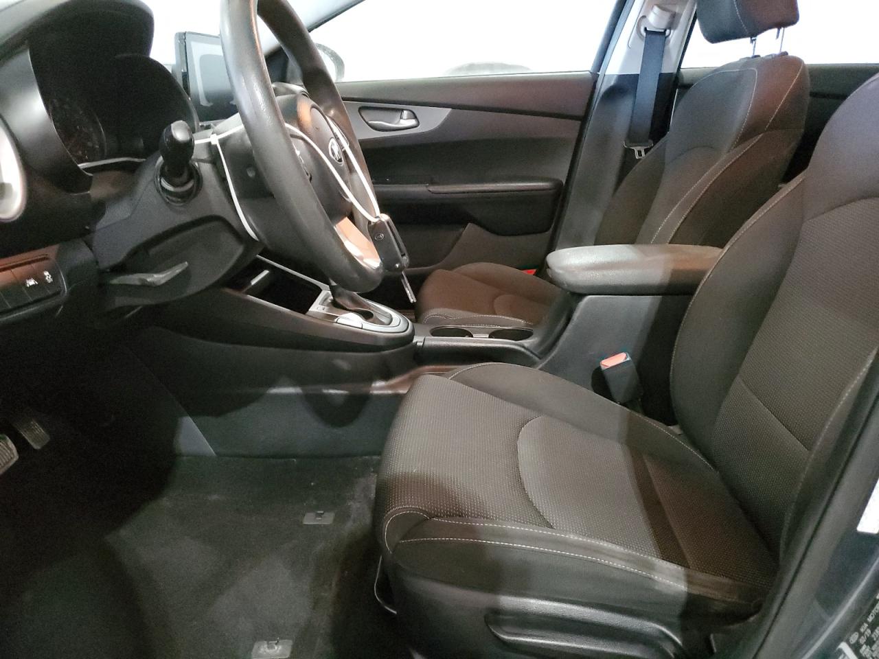 2019 Kia Forte Fe VIN: 3KPF24AD3KE097590 Lot: 76127834