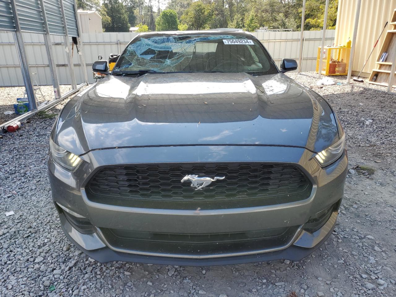 1FA6P8AM8H5262908 2017 Ford Mustang