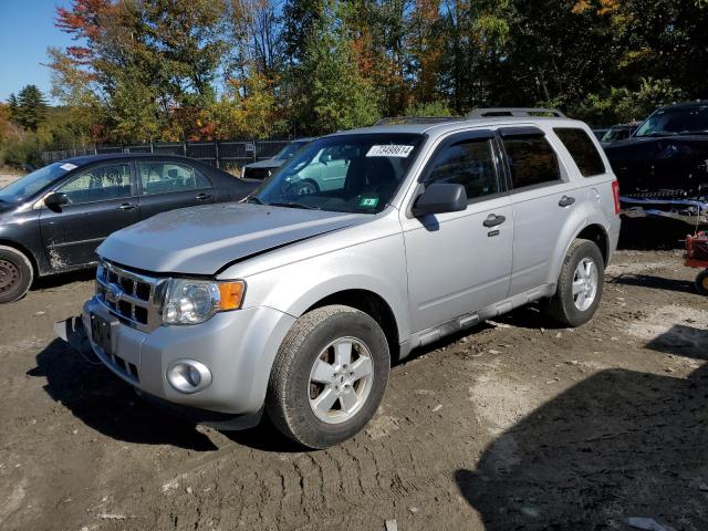 2009 Ford Escape Xlt