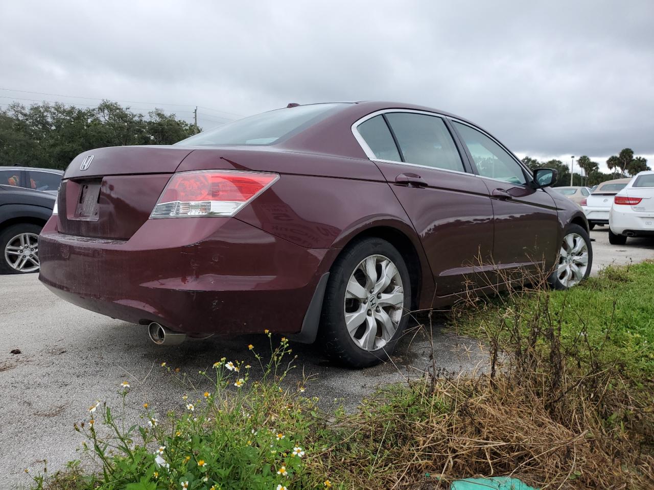 2008 Honda Accord Exl VIN: 1HGCP26838A105589 Lot: 74780934