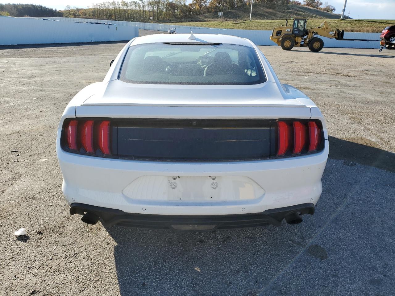 2022 Ford Mustang VIN: 1FA6P8TH7N5106659 Lot: 77389914