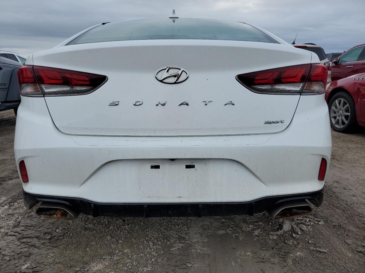 2019 Hyundai Sonata Limited VIN: 5NPE34AFXKH766377 Lot: 74615034