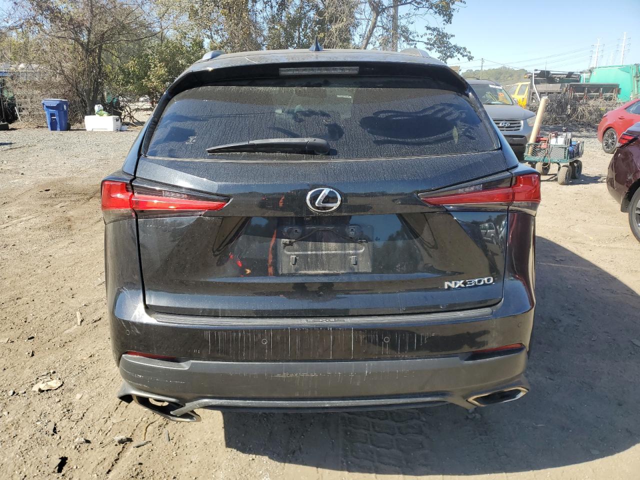 2019 Lexus Nx 300 Base VIN: JTJBARBZ6K2182183 Lot: 76794964