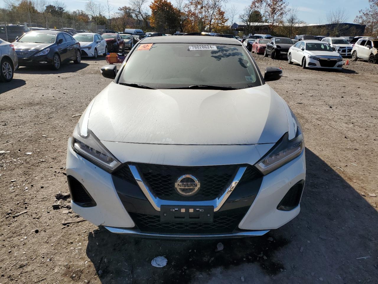 2020 Nissan Maxima Sl VIN: 1N4AA6DV4LC385663 Lot: 78028624