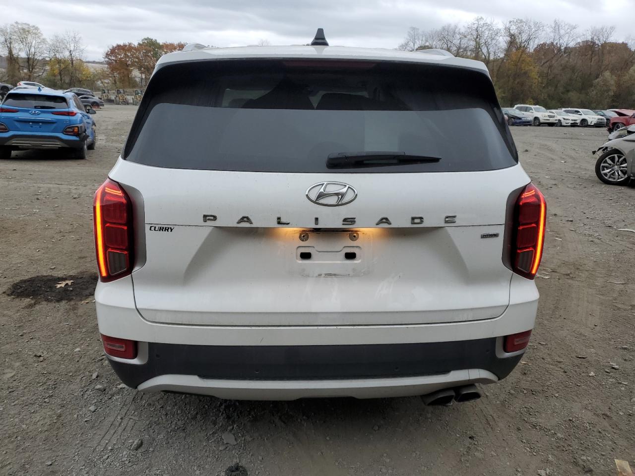 2020 Hyundai Palisade Sel VIN: KM8R4DHE5LU169927 Lot: 78458924