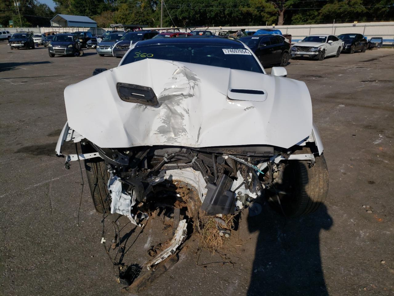 2020 Ford Mustang VIN: 1FA6P8TH0L5154534 Lot: 74697054