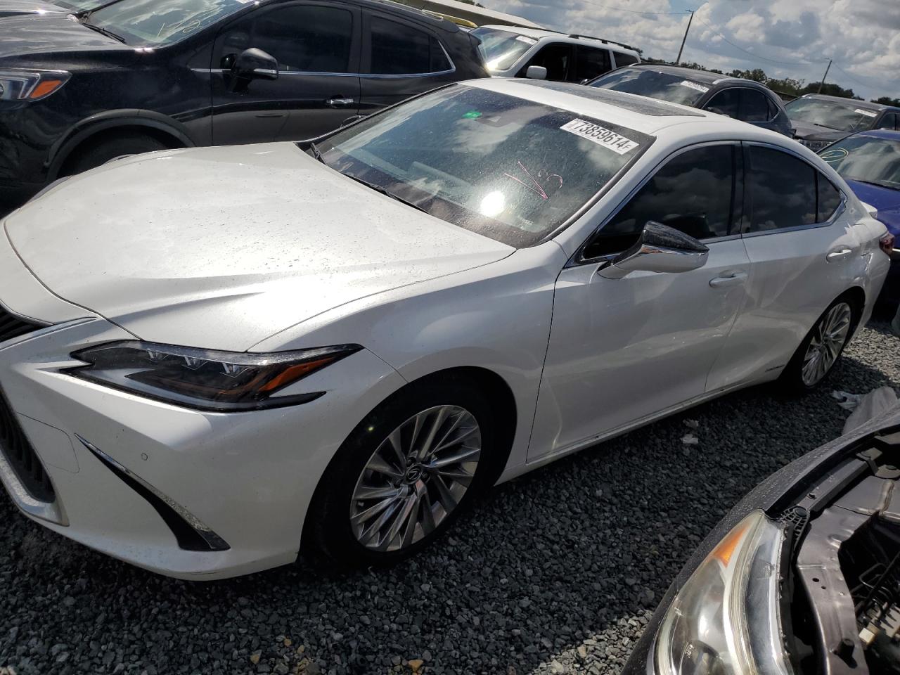 JTHB21B11K2043816 2019 LEXUS ES - Image 1