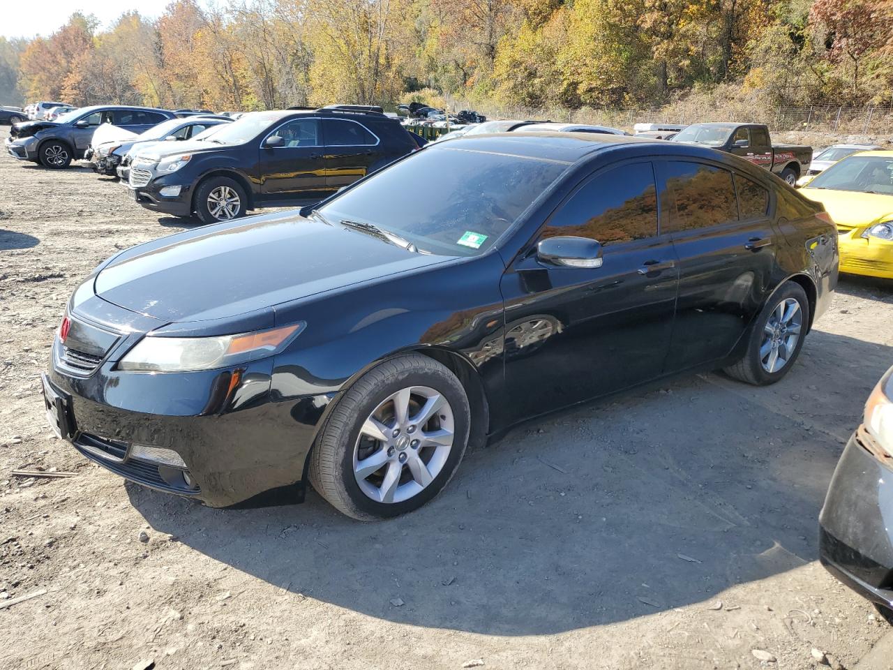 VIN 19UUA8F26DA015013 2013 ACURA TL no.1