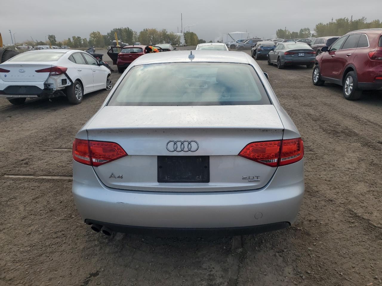 2011 Audi A4 Prestige VIN: WAUKFCFL2BN004497 Lot: 73696124