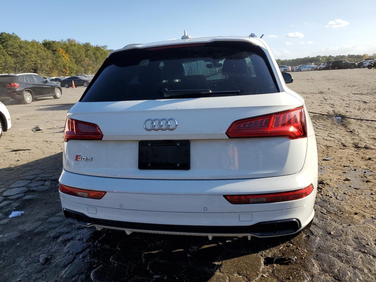 2020 Audi Sq5 Prestige VIN: WA1C4AFY8L2120037 Lot: 76783834