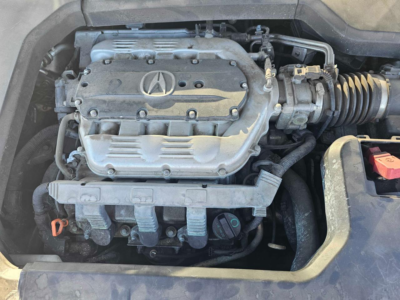 19UUA9F54BA000393 2011 Acura Tl