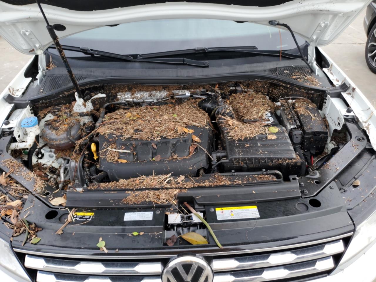 3VV3B7AXXMM111588 2021 Volkswagen Tiguan Se