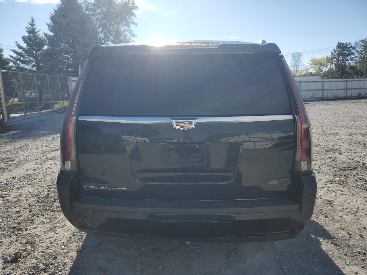 1GYS4DKJ3HR261666 2017 Cadillac Escalade Platinum