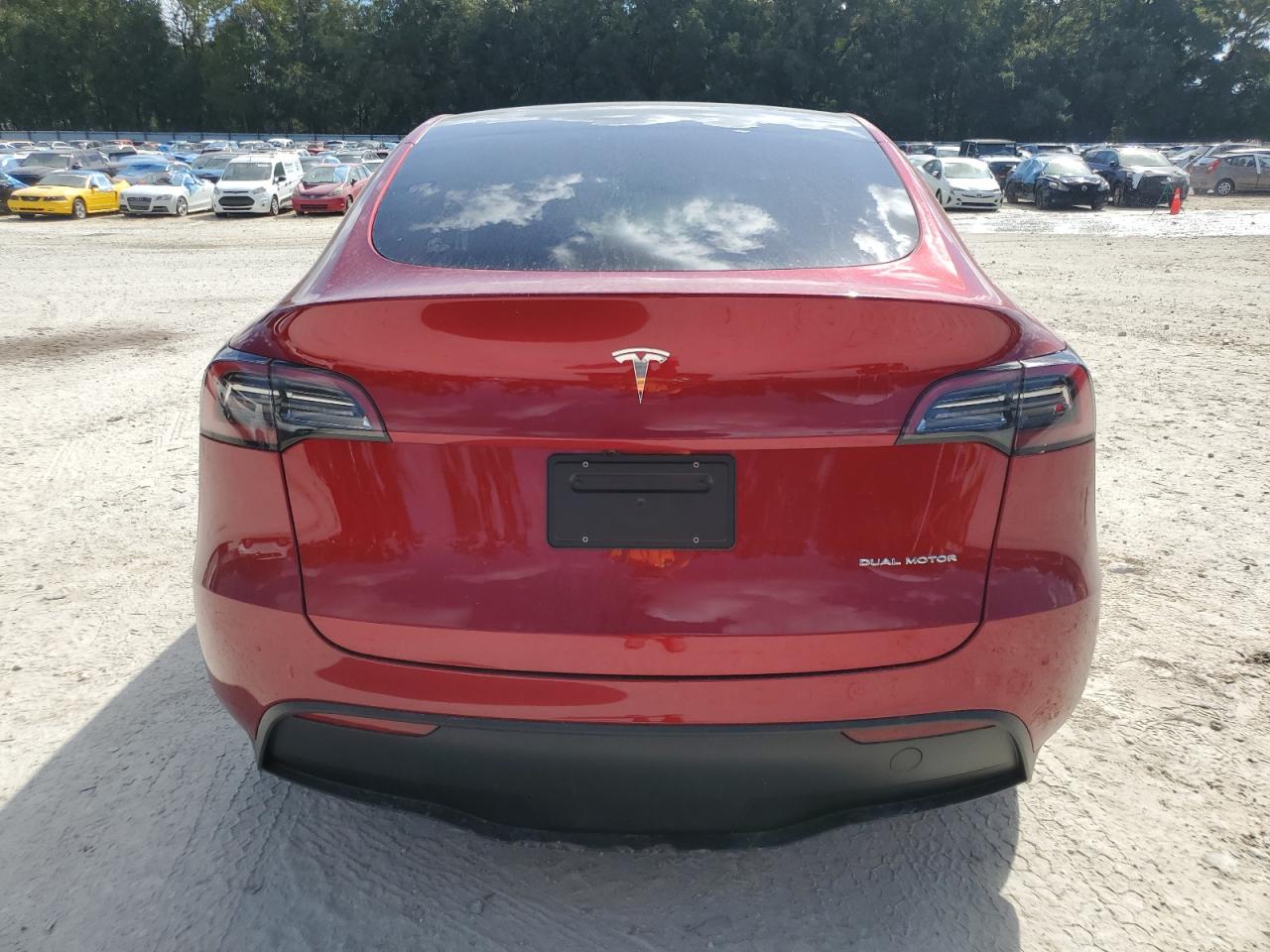 2024 Tesla Model Y VIN: 7SAYGDEE8RA307991 Lot: 77402634