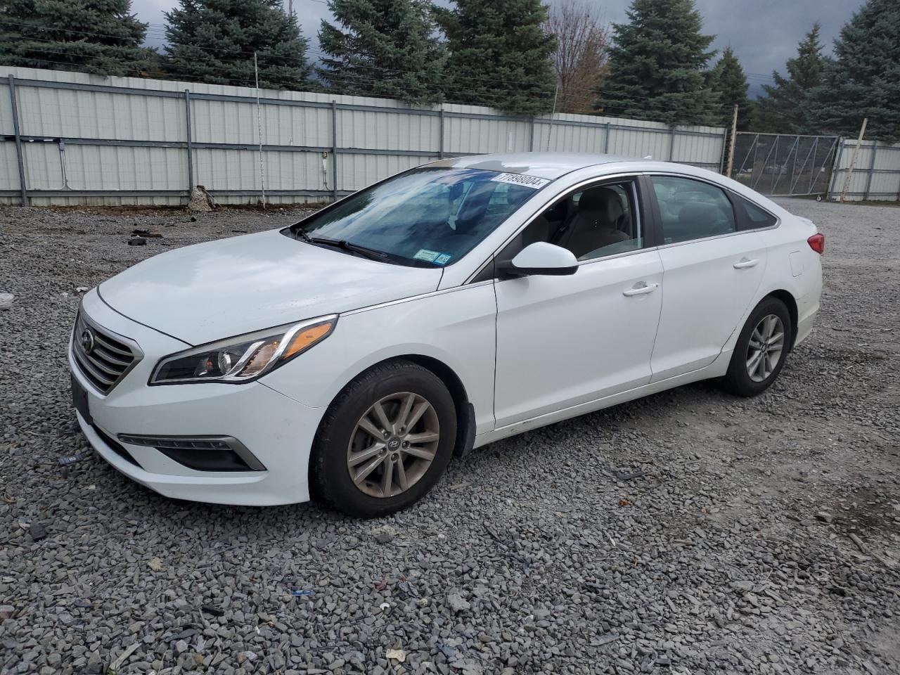 VIN 5NPE24AF7FH146112 2015 HYUNDAI SONATA no.1