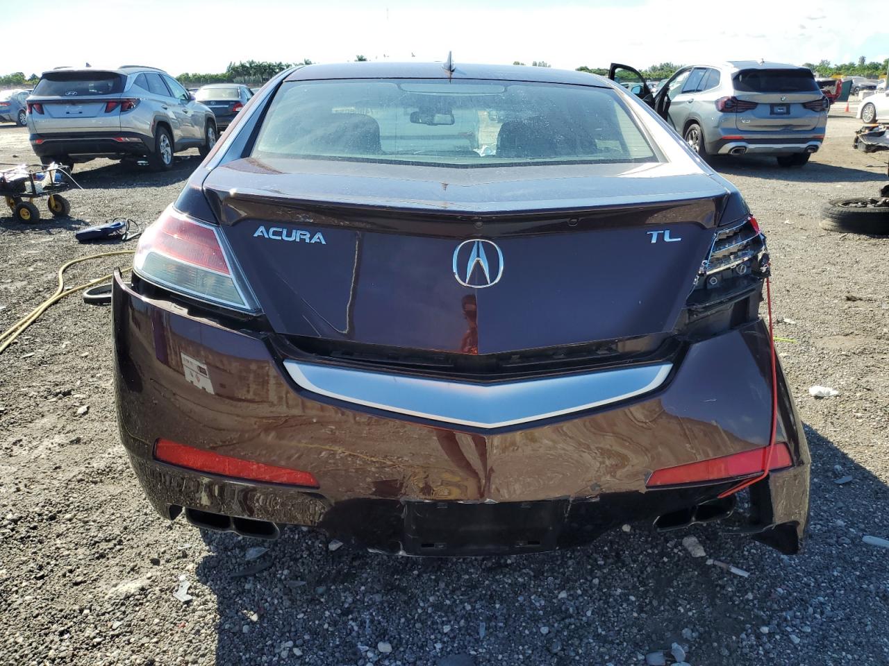 2009 Acura Tl VIN: 19UUA96549A002834 Lot: 74056054