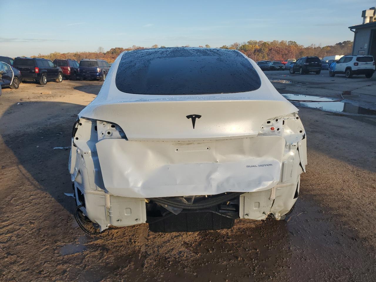 2024 Tesla Model Y VIN: 7SAYGDEE1RA258441 Lot: 77854944