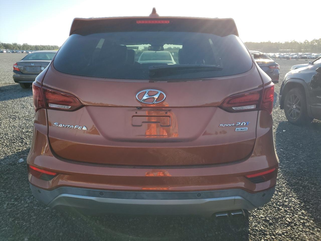 2017 Hyundai Santa Fe Sport VIN: 5XYZW4LA3HG423145 Lot: 77246074