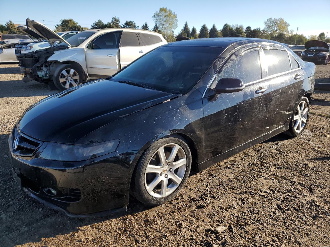 JH4CL95916C014558 2006 Acura Tsx