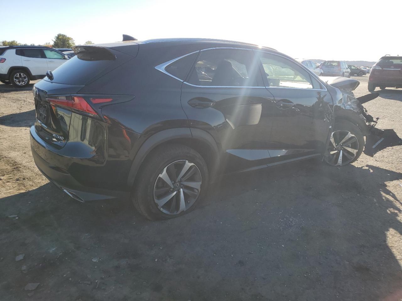 2020 Lexus NX - Image 3