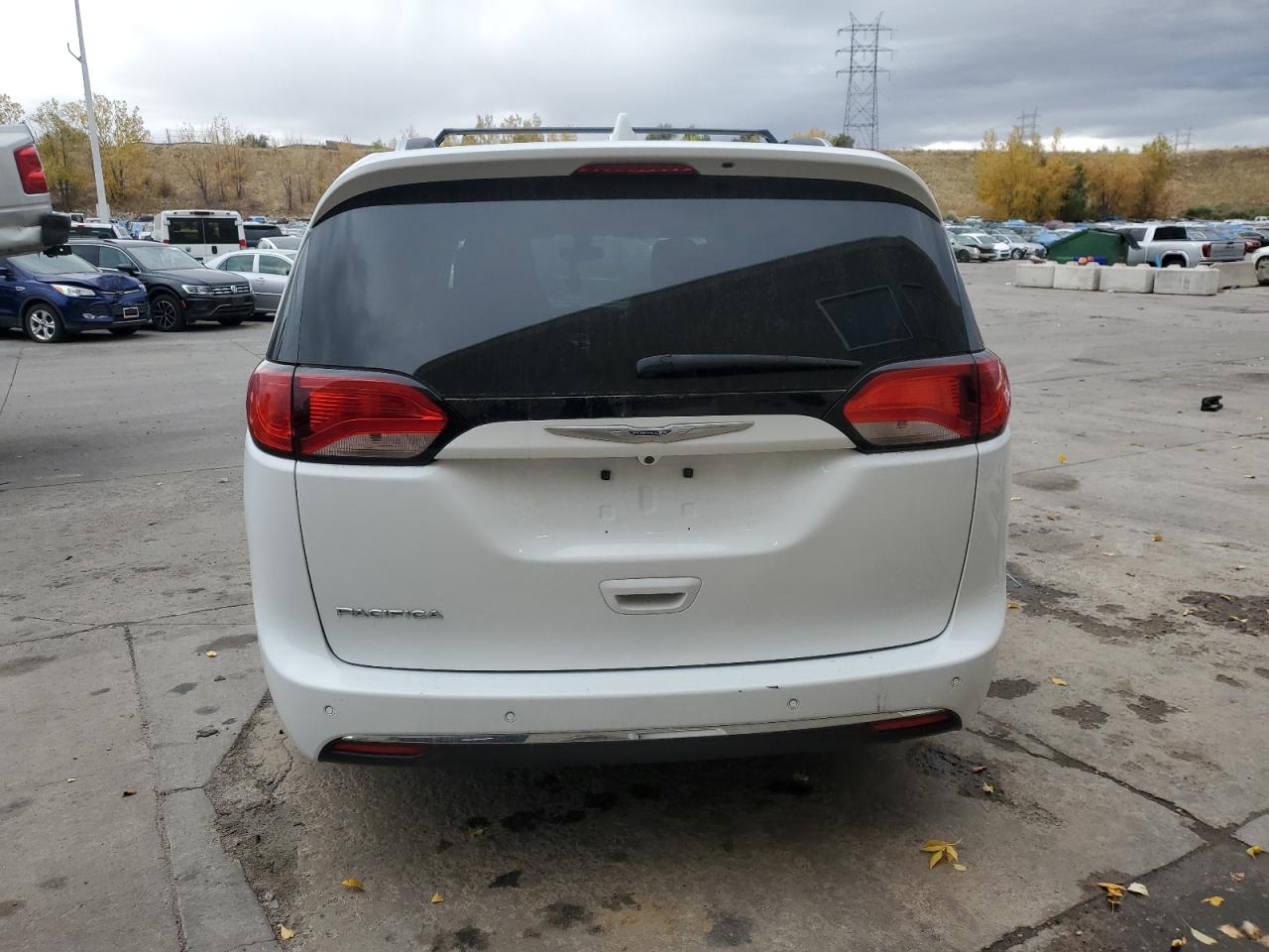 2020 Chrysler Pacifica Touring L VIN: 2C4RC1BG0LR133544 Lot: 77392444