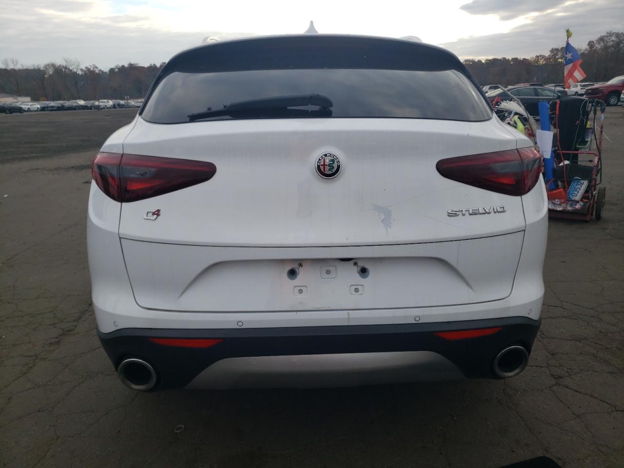 2020 Alfa Romeo Stelvio VIN: ZASPAKAN4L7C91011 Lot: 53800315