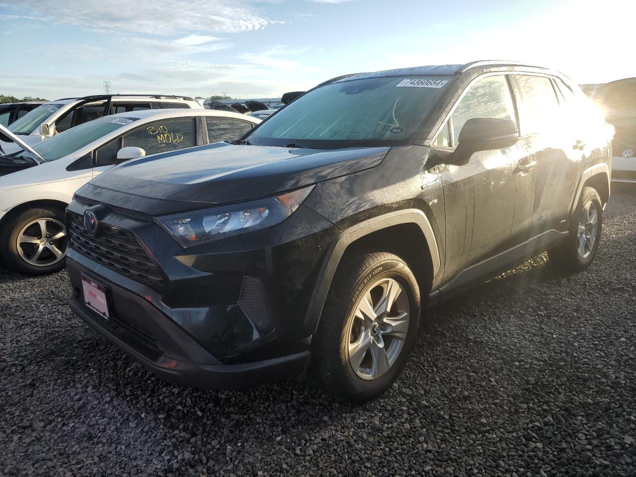 2019 Toyota RAV 4 - Image 1