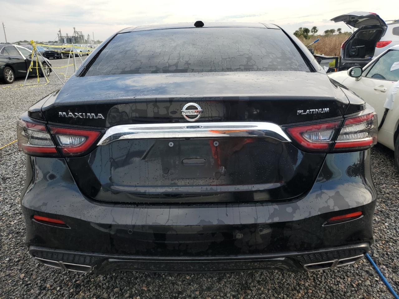 2020 Nissan Maxima Platinum VIN: 1N4AA6FV6LC362236 Lot: 75055074