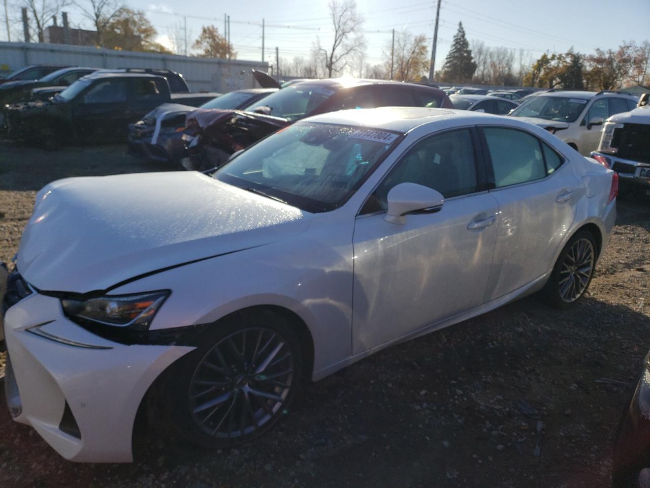 2019 Lexus IS - Image 1